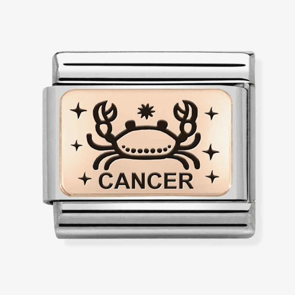 CLASSIC Composable Plates Cancer Charm
