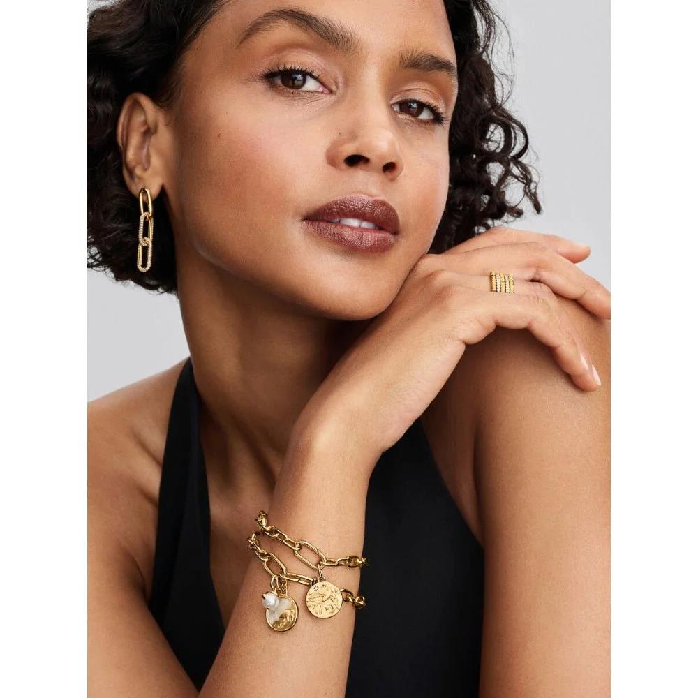 Pandora Gold Talisman Swallow Medallion