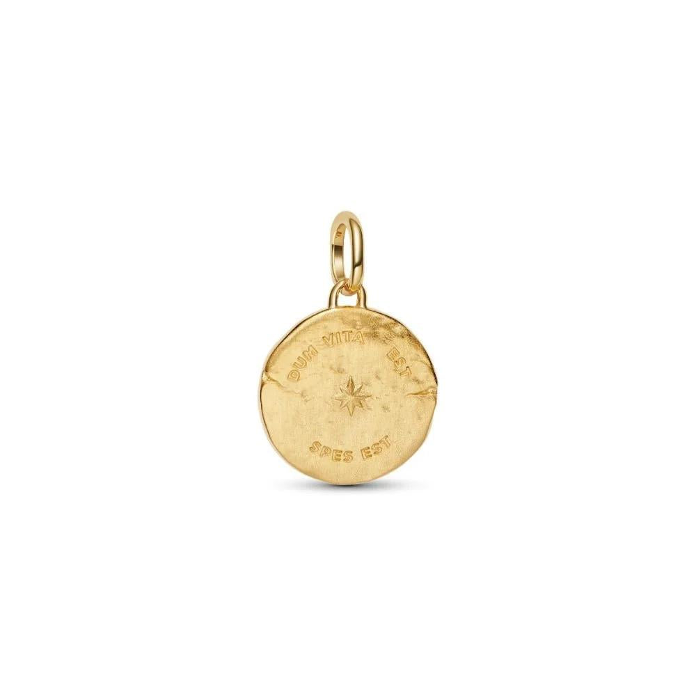 Pandora Gold Talisman Swallow Medallion