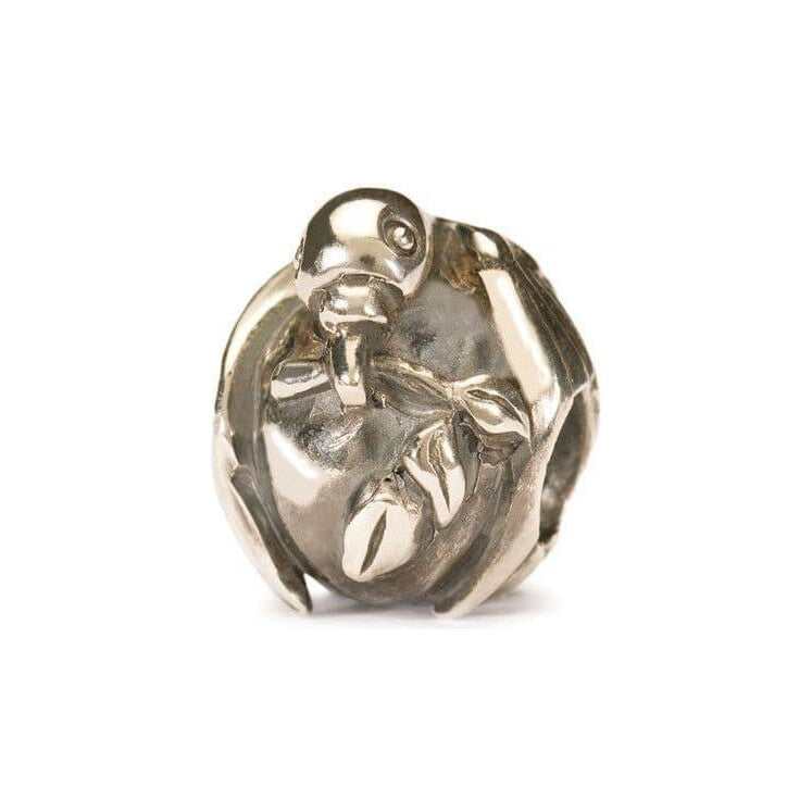 Pax Silver Bead
