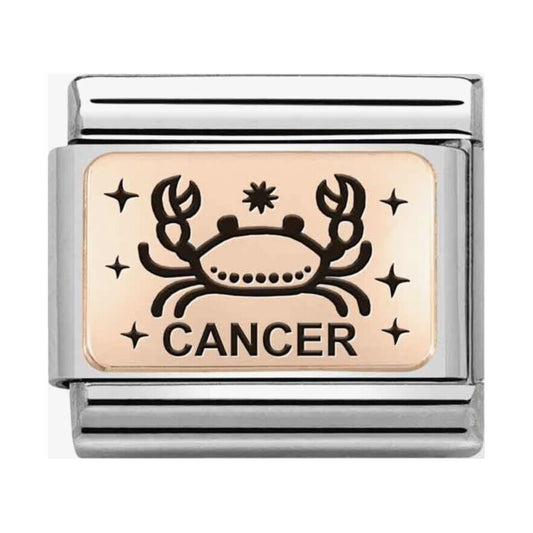 CLASSIC Composable Plates Cancer Charm