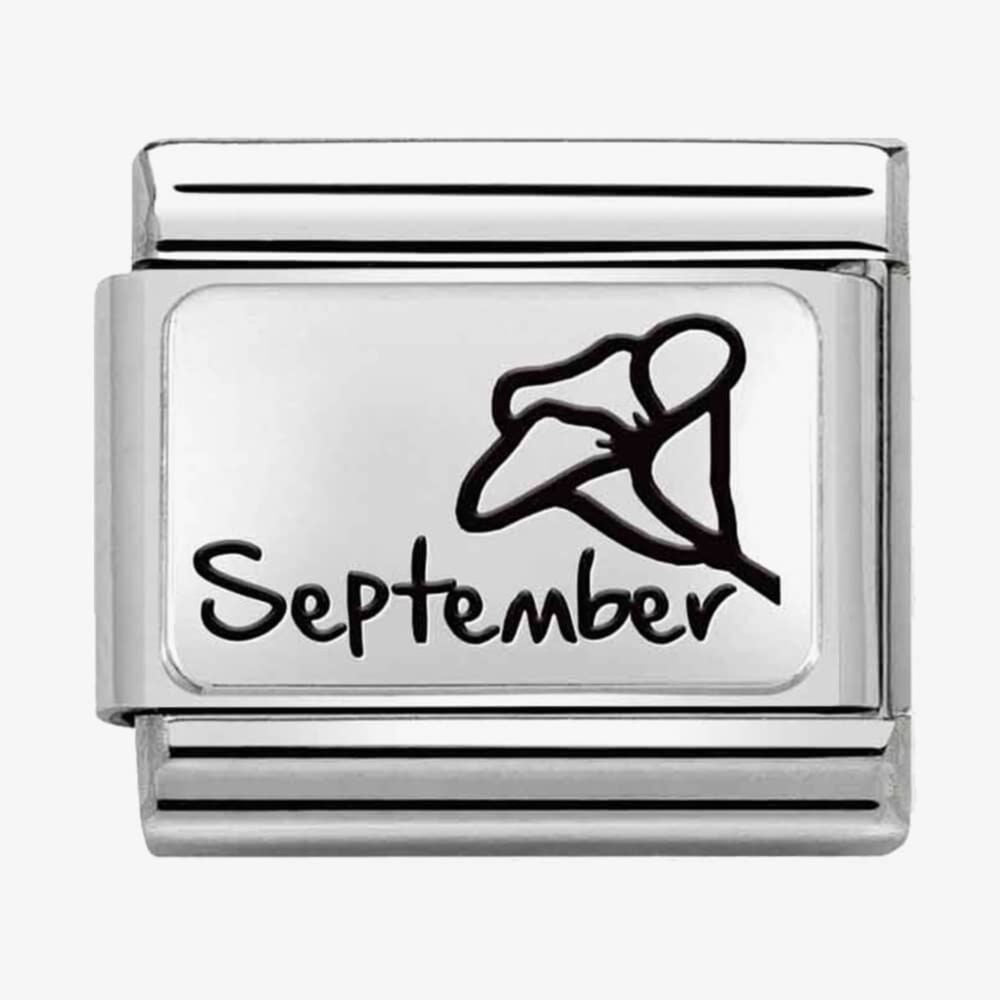 CLASSIC Composable Plates September Flower Charm