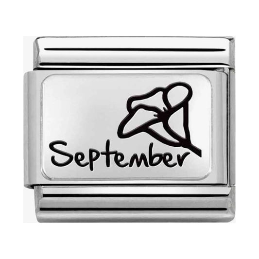 CLASSIC Composable Plates September Flower Charm