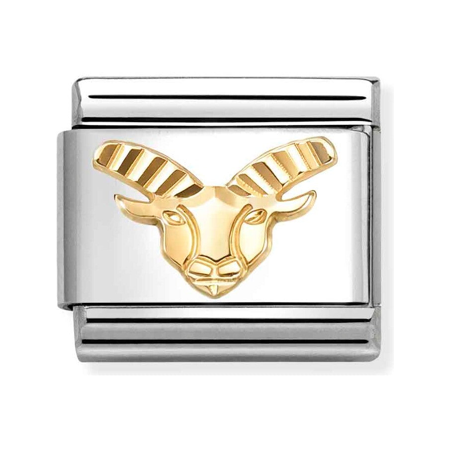 Capricorn