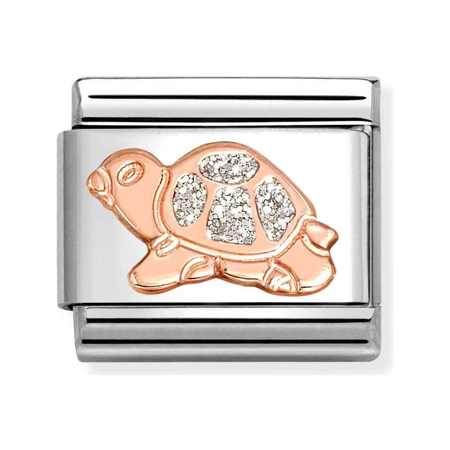 SILVER Turtle