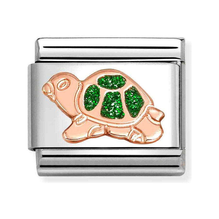 SILVER Turtle