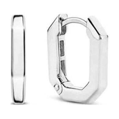 TI SENTO Earrings 7929SI
