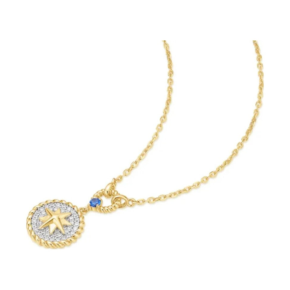 Ania Haie Gold Eight Pointed Star Signet Necklace