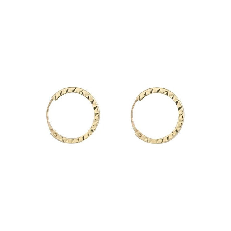 9ct Yellow Sleeper 13 Diamond Cut Earring Pair