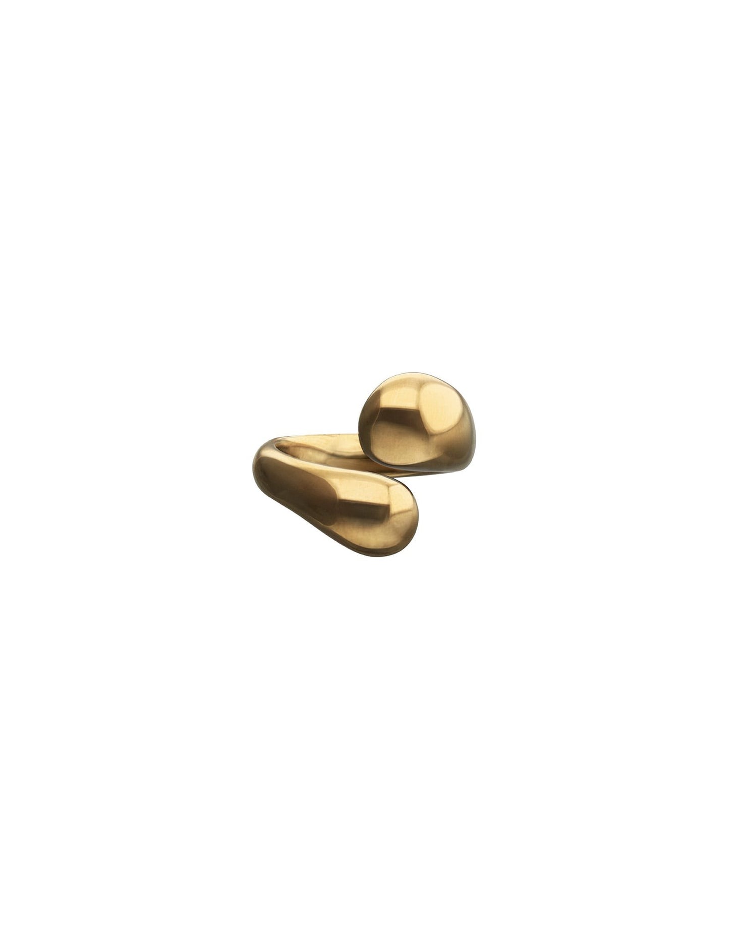 Ring Corium