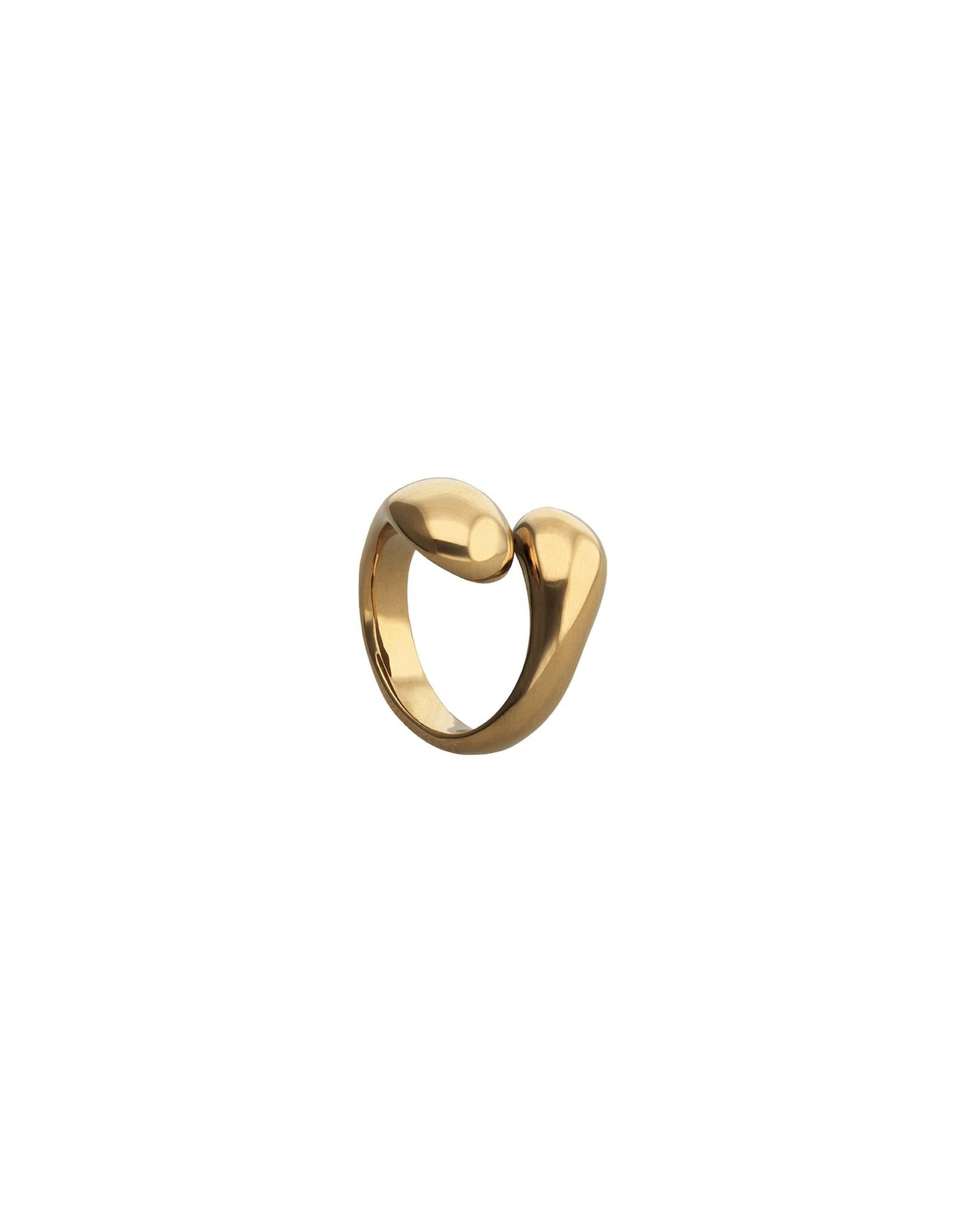 Ring Corium