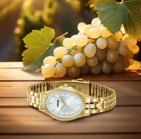 Ladies Classic Oval Dial Bracelet Watch